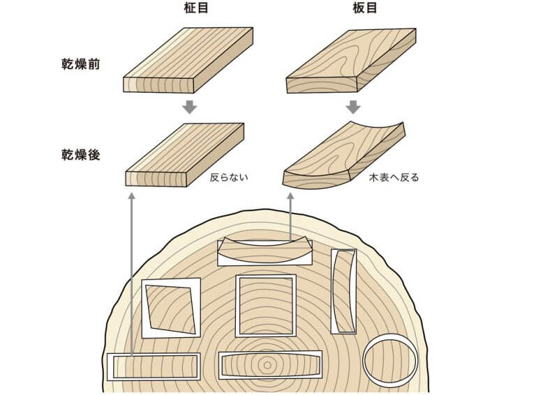 木材の異方性と強度 フローリング総合研究所